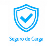 ICONE SEGURO 22 05 26.png